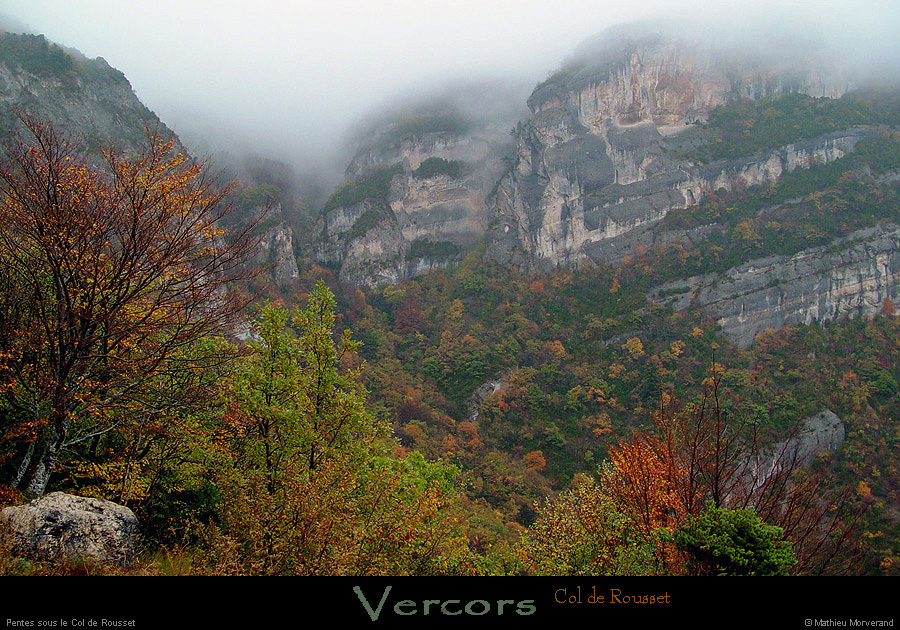 20021025_foretsouscolderousset_04