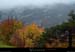 20021025_foretsouscolderousset_02