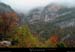 20021025_foretsouscolderousset_04