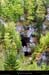 20020513_grottedelagouleblanche