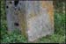 canal_nivernais_11